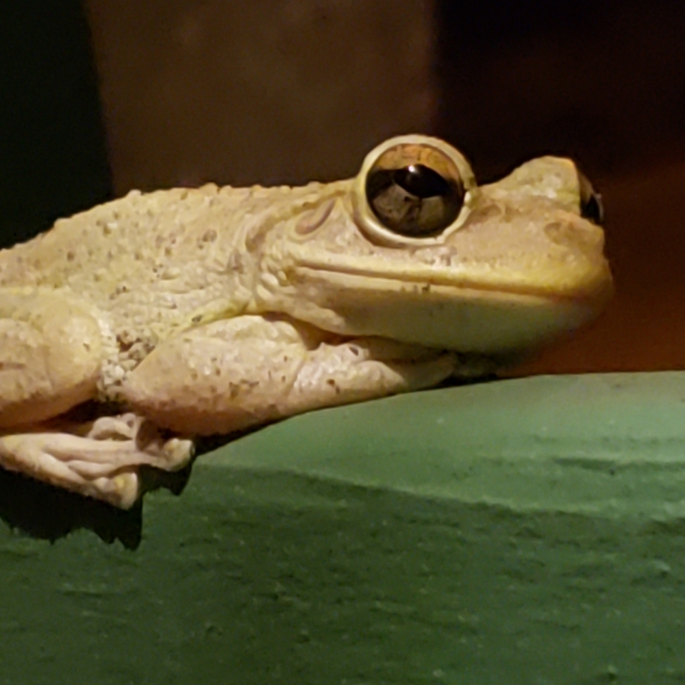 Meet your Posher, Cassie